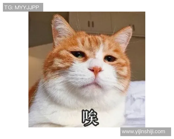 韩国足球明星表情包大集合让你轻松搞定球迷互动乐趣无限